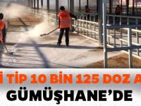 YENİ TİP 10 BİN 125 DOZ AŞI GÜMÜŞHANE’DE