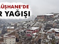 GÜMÜŞHANE’DE KAR YAĞIŞI