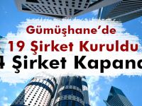 KURULAN ŞİRKETLER 2015 YILINDA ARTTI