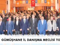 AK PARTİ GÜMÜŞHANE İL DANIŞMA MECLİSİ TOPLANTISI