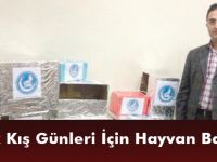 “Soğuk Kış Günleri İçin Hayvan Barınağı'”