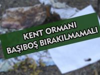 KENT ORMANI BAŞIBOŞ BIRAKILMAMALI
