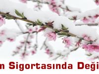 Tarım Sigortasında Değişiklik