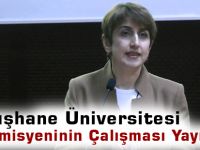 Gümüşhane Üniversitesi Akademisyeninin Çalışması Yayınlandı