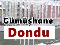 Gümüşhane Dondu