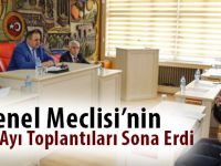 İl Genel Meclisi’nin Şubat Ayı Toplantıları Sona Erdi