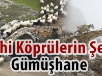 Tarihi Köprülerin Şehri Gümüşhane