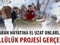 YABAN HAYATINA EL UZAT ONLARLA OL GÖNÜLLÜLÜK PROJESİ GERÇEKLEŞTİ