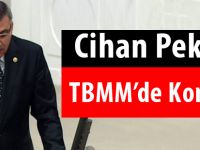 Pektaş, TBMM’de konuştu