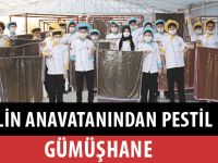 PESTİLİN ANAVATANINDAN PESTİL DERSİ