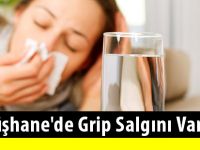 Gümüşhane'de grip salgını var mı?