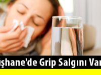 Gümüşhane'de grip salgını var mı?