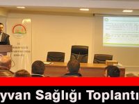Hayvan Sağlığı Toplantısı