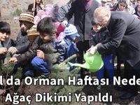 Torul da Orman Haftası Nedeniyle Ağaç Dikimi Yapıldı