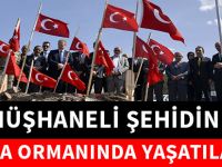 GÜMÜŞHANELİ ŞEHİDİN ADI HATIRA ORMANINDA YAŞATILACAK