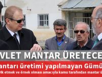 DEVLET MANTAR ÜRETECEK