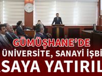 GÜMÜŞHANE’DE KAMU, ÜNİVERSİTE, SANAYİ İŞBİRLİĞİ MASAYA YATIRILDI