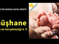 Gümüşhane Doğumun En Az  Gerçekleştiği 4. İl