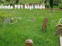 Gümüşhane'de 2015 yılında 901 kişi öldü