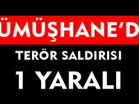 GÜMÜŞHANE’DE TERÖR SALDIRISI: 1 YARALI