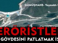 GÜMÜŞHANE'DEKİ TERÖR SALDIRISININ DETAYLARI ORTAYA ÇIKTI