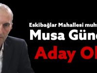 Gündüz, Aday Oldu