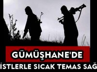 GÜMÜŞHANE'DE TERÖRİSTLERLE SICAK TEMAS SAĞLANDI