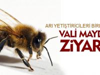 ARI YETİŞTİRİCİLERİ BİRLİĞİ'NDEN VALİ MAYDA'YA ZİYARET