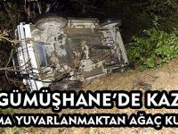 GÜMÜŞHANE'DE KAZA:UÇURUMA YUVARLANMAKTAN AĞAÇ KURTARDI