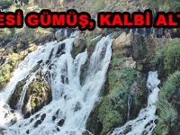 HANESİ GÜMÜŞ, KALBİ ALTIN