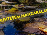 MUHTEŞEM MANZARALAR