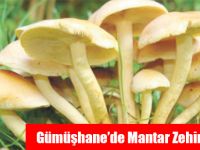 Gümüşhane’de Mantar Zehirlenmesi