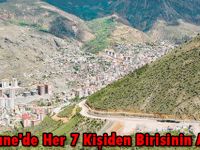 Gümüşhane'de Her 7 Kişiden Birisinin Aracı Var