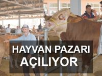 Hayvan Pazarı Açılıyor
