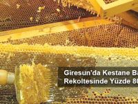 Giresun'da Kestane Balı Rekoltesinde Yüzde 80 Azalma