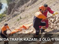 ŞİRAN’DA TRAFİK KAZASI: 2 ÖLÜ, 1 YARALI