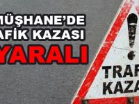 GÜMÜŞHANE’DE TRAFİK KAZASI: 8 YARALI