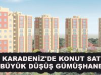 DOĞU KARADENİZ'DE KONUT SATIŞINDA EN BÜYÜK DÜŞÜŞ GÜMÜŞHANE'DE