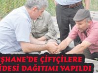 GÜMÜŞHANE’DE ÇİFTÇİLERE ÇİLEK FİDESİ DAĞITIMI YAPILDI