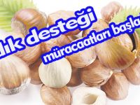Fındık desteği müracaatları başladı