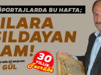 NİYAZİ GÜL