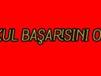DİKKAT EKSİKLİĞİ OKUL BAŞARISINI OLUMSUZ ETKİLİYOR