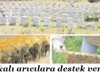 Sertifikalı arıcılara destek verilecek