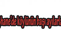 Gümüşhane’de köylünün başı ayılarla dertte