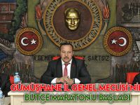 GÜMÜŞHANE İL GENEL MECLİSİ'NİN BÜTÇE MARATONU BAŞLADI