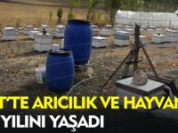 KELKİT'TE ARICILIK VE HAYVANCILIK ALTIN YILINI YAŞADI