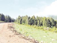 BAKAN SOYLU’DAN YEŞİLYOL DESTEĞİ