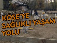 KÖSE'YE SAĞLIKLI YAŞAM YOLU