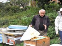 Arıcılar kış hazırlıklarını tamamladı