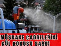 Gümüşhane caddelerini gül kokusu sardı